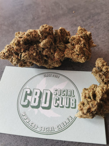 Fleur de CBD H1 : Amnésia Us CBD social club