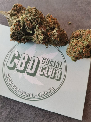 Fleur de CBD THV : Gorilla Mandarine CBD social club